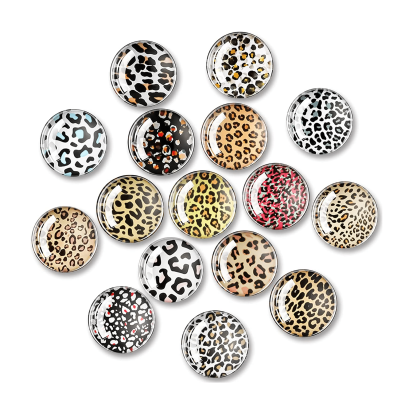 Leopard Print Magnet Set