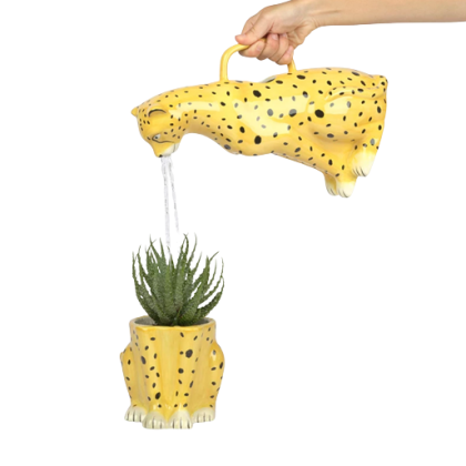 leopard flowering water jug and flowering planter
